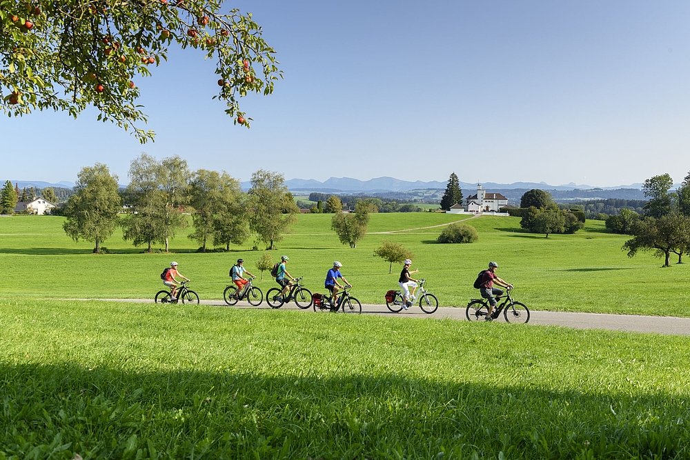 fahrrad lenkertasche mini Dayliner (3 L) Material:Fleece Olive Ecopak / X Eurobike News 2024 Bulls _ricardo_level_1