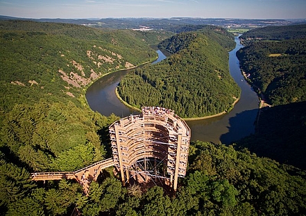 Baumwipfelpfad Baumwipfelpfad
